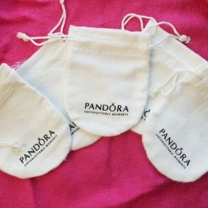 Pandora Pouches